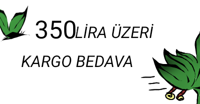 Akvaryum canlı bitki
