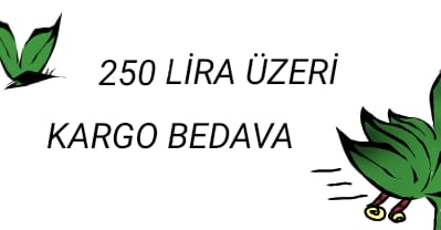 Akvaryum canlı bitki